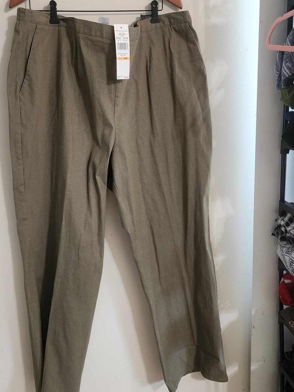 Alfred Dunner Olive Green "Lake Tahoe" Proportioned Medium Pants - Size 24W